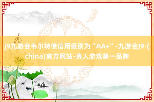 j9九游会韦尔转债信用级别为“AA+”-九游会J9·(china)官方网站-真人游戏第一品牌