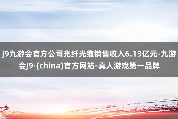 j9九游会官方公司光纤光缆销售收入6.13亿元-九游会J9·(china)官方网站-真人游戏第一品牌