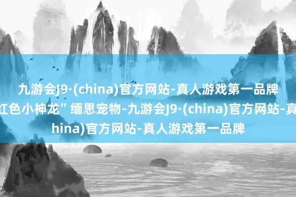 九游会J9·(china)官方网站-真人游戏第一品牌还有契机得到“红色小神龙”缅思宠物-九游会J9·(china)官方网站-真人游戏第一品牌