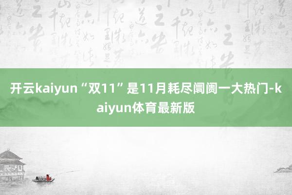 开云kaiyun“双11”是11月耗尽阛阓一大热门-kaiyun体育最新版